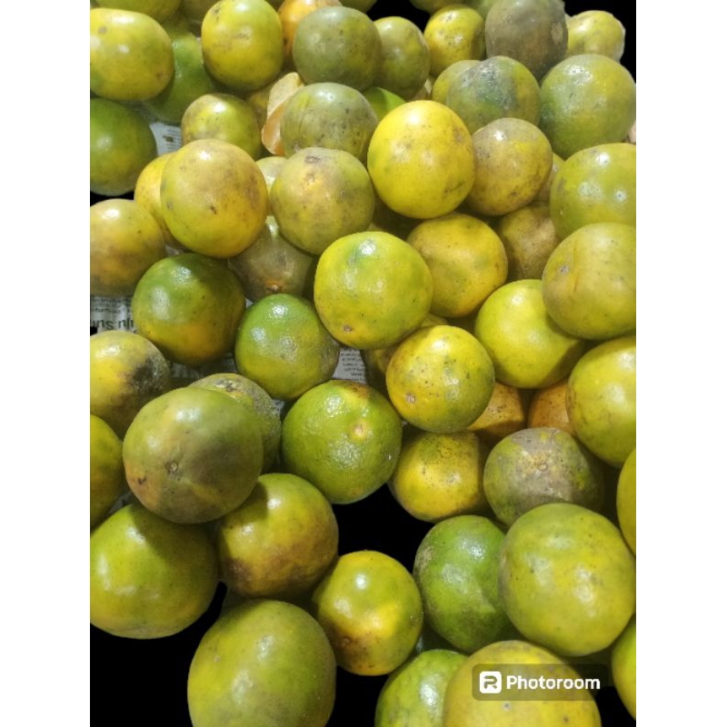 Jual JERUK PONTIANAK FRESS 1KG RASA SEGAR | Shopee Indonesia