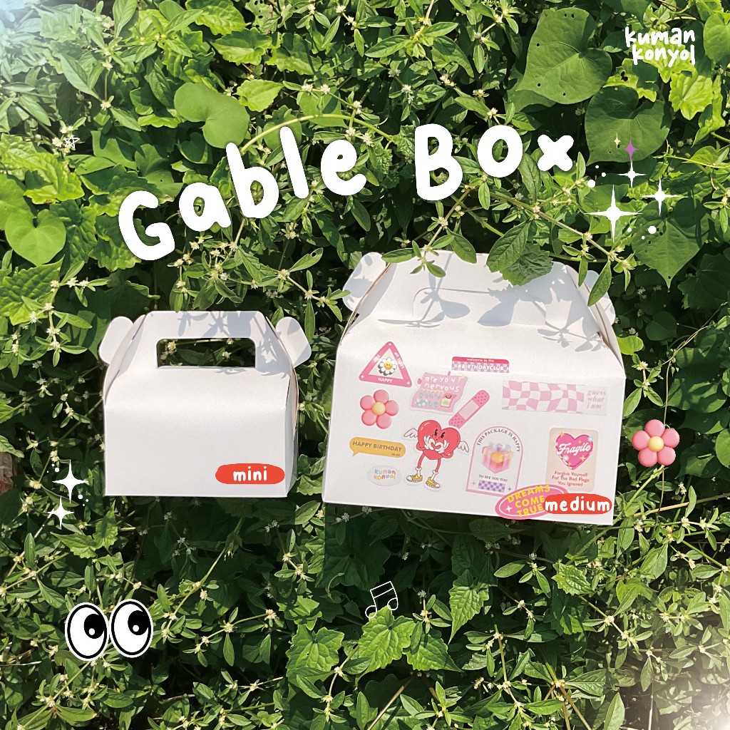 Jual Gable Box Pembungkus Kado Unik Estetik Aesthetic Bungkus Kado