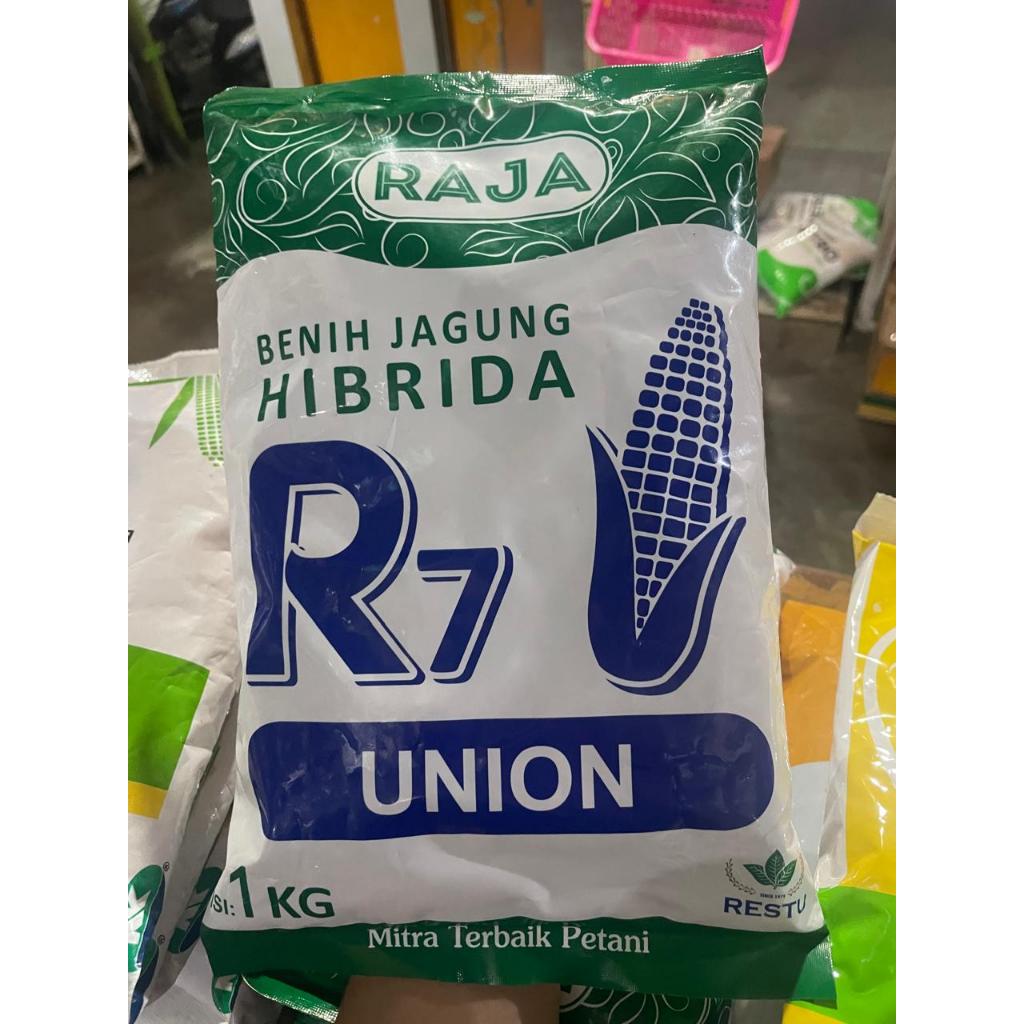 Jual benih jagung R7 Union 1kg Raja | Shopee Indonesia
