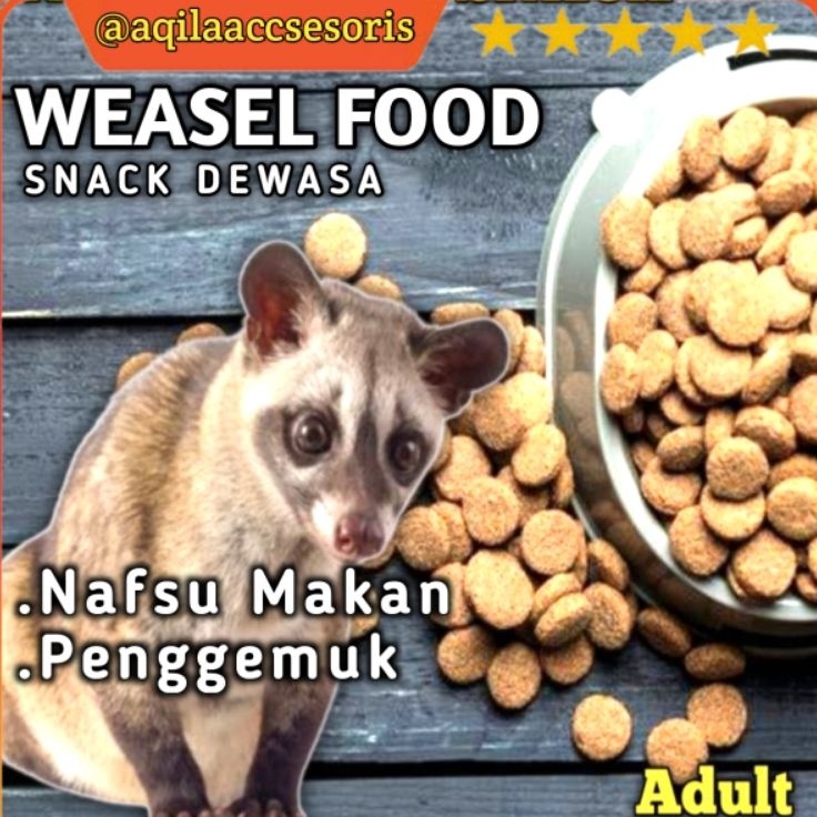 Jual Fast Order WEASEL FOOD Makanan Musang Dewasa Makanan Musang Gemuk ...