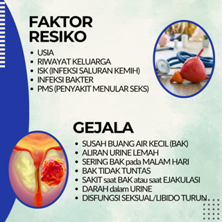 Jual Obat Prostat Herbal Tanpa Operasi Infeksi Saluran Kemih Kanker ...