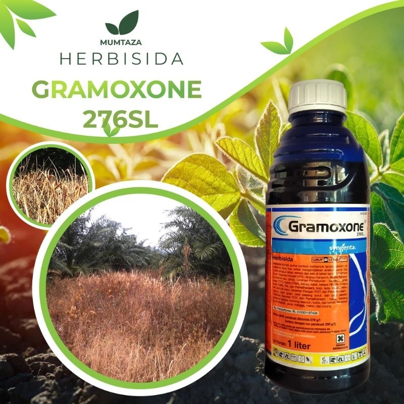 Jual GRAMOXONE 276 SL / HERBISIDA GRAMAXONE / RACUN RUMPUT / OBAT ...