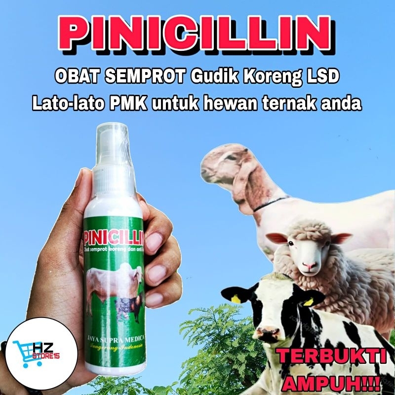 Jual Obat Gudik Kudis Eksim Gatal Koreng Hewan Sapi Kambing Domba Kuda ...