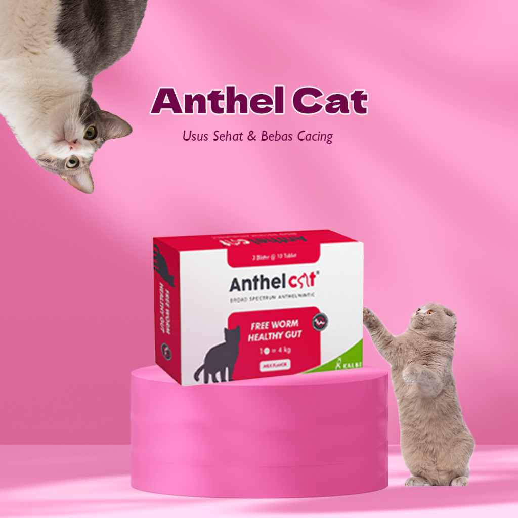 Jual Anthel Cat per 1 Tablet - Obat Cacing Kucing Ampuh by Kalbe Farma ...
