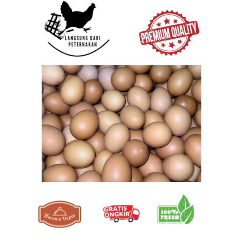 Jual TELUR AYAM RAS FRESH PREMIUM 1/2 Kg | Shopee Indonesia
