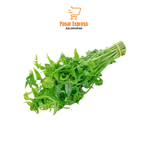 Jual Sayur Pakis/ Daun Pakis - Pasar Express Balikpapan | Shopee Indonesia