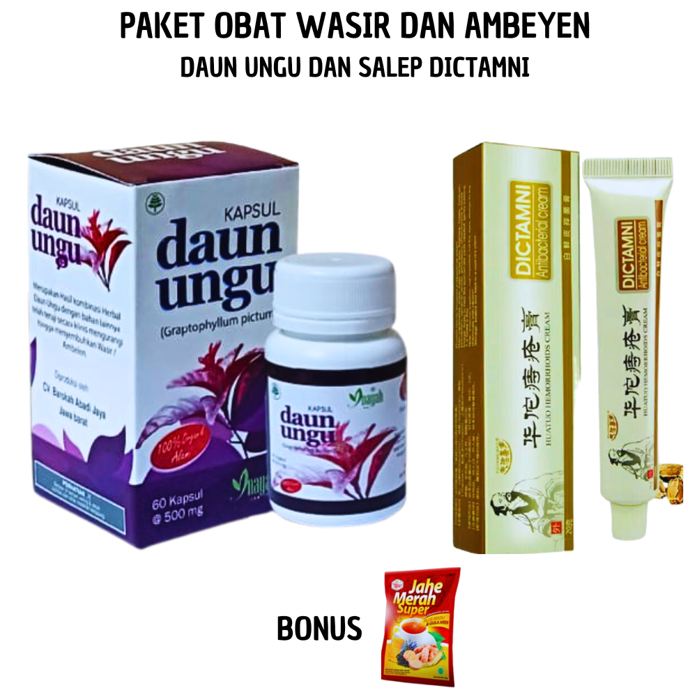 Jual OBAT WASIR DAUN UNGU | Kapsul Herbal Daun Ungu ORIGINAL - Obat