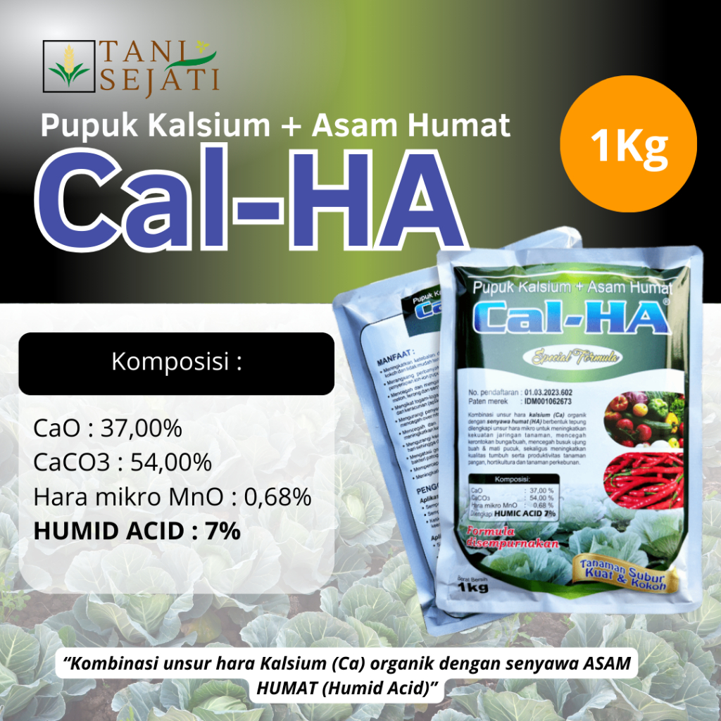 Jual Cal Ha 1Kg Pupuk Calcium (Kalsium) plus Asam Humat untuk mencegah ...
