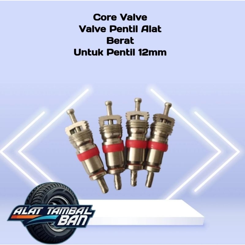 Jual VALVE CORE - ISI PENTIL BESAR UNTUK ALAT BERAT | Shopee Indonesia