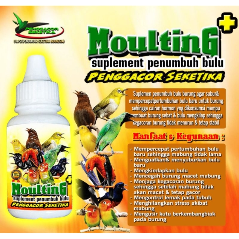 Jual bm moulthing suplemen penumbuh bulu penggacor seketika obat burung ...