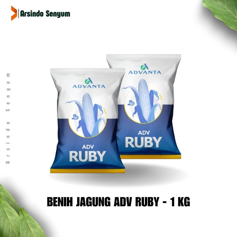 Jual BENIH JAGUNG ADVANTA ADV RUBY 1 KG - HIBRIDA SILANG TUNGGAL ...
