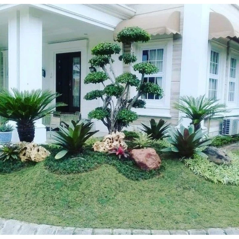 Jasa Pembuatan Taman Demak - Taman Rumah Minimalis Modern Mranggen