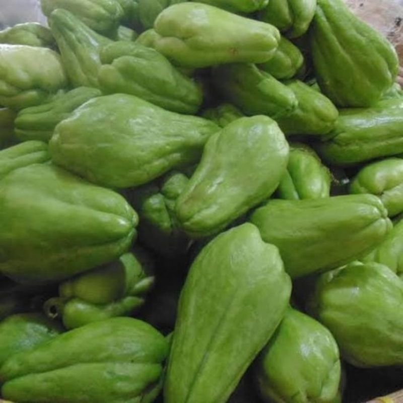 Jual Labu kecil segar | Shopee Indonesia