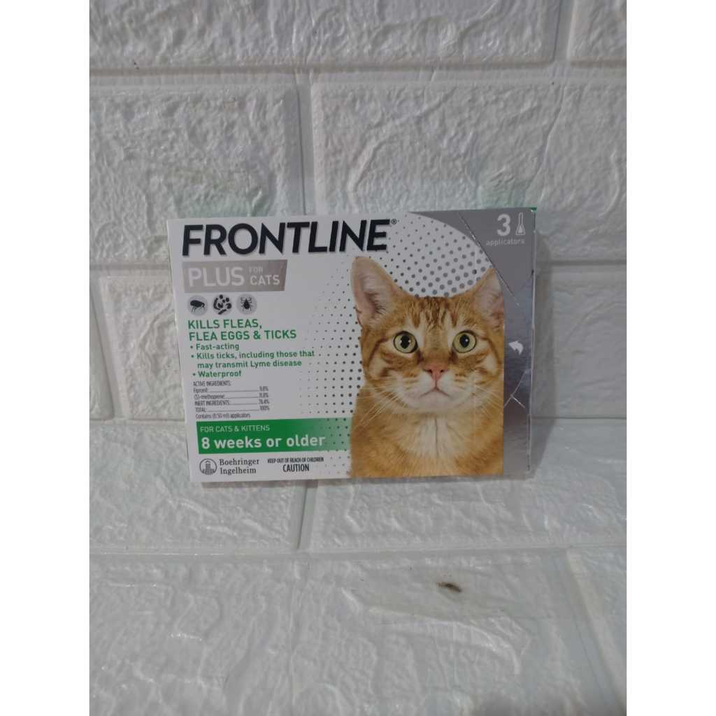 Jual Obat Kutu Frontline Plus Cat Kitten Weeks Or Older Harga Tube