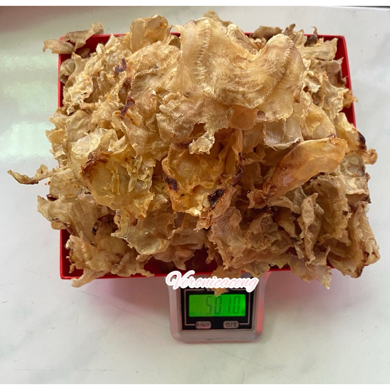 Jual Hipio Besar Super hupio 500G 1KG Gelembung Perut Ikan Manyung Yi ...