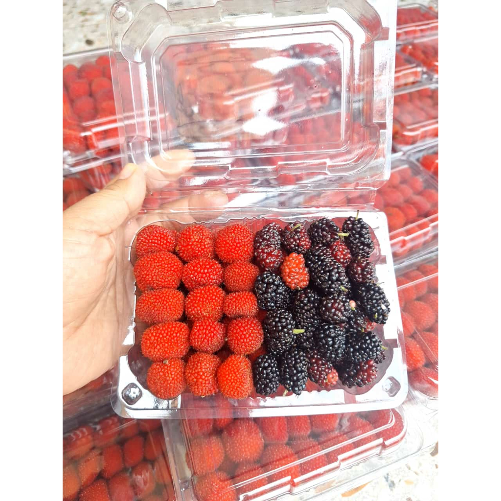 Jual Buah Raspberry I Mulbery per pack ± 200 gram | Shopee Indonesia