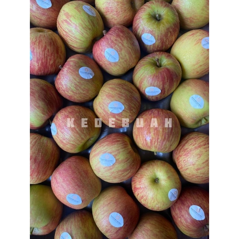 Jual Apel Fuji Africa | Shopee Indonesia