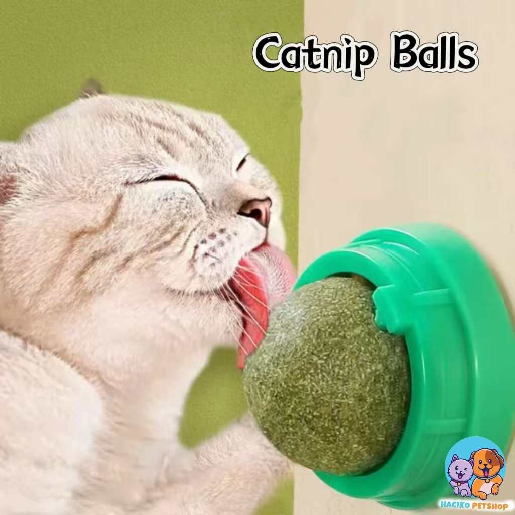 Jual [HACIKO PETSHOP] Mainan Kucing Bola Catnip Catnip Kucing Anti ...