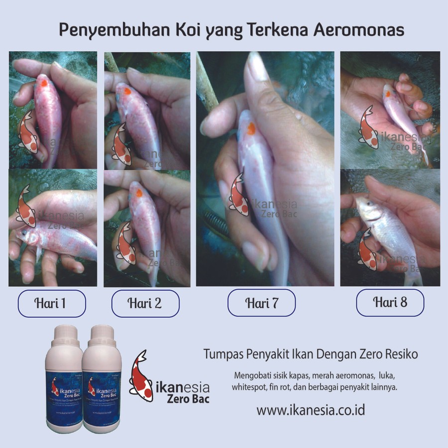 Jual Ikanesia Zero Bac 250 ml ampuh untuk penyakit ikan | Shopee Indonesia