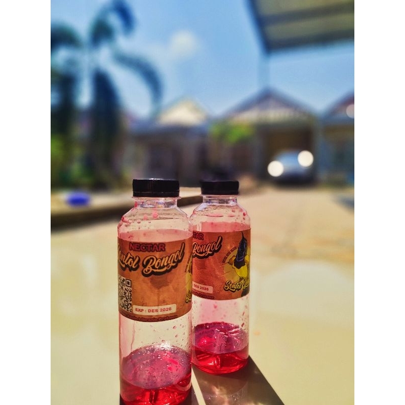 Jual SONTOL BONGOL VAR.MERAH 1LUSIN (DOPPING UNTUK SOGON KONIN PLECI ...