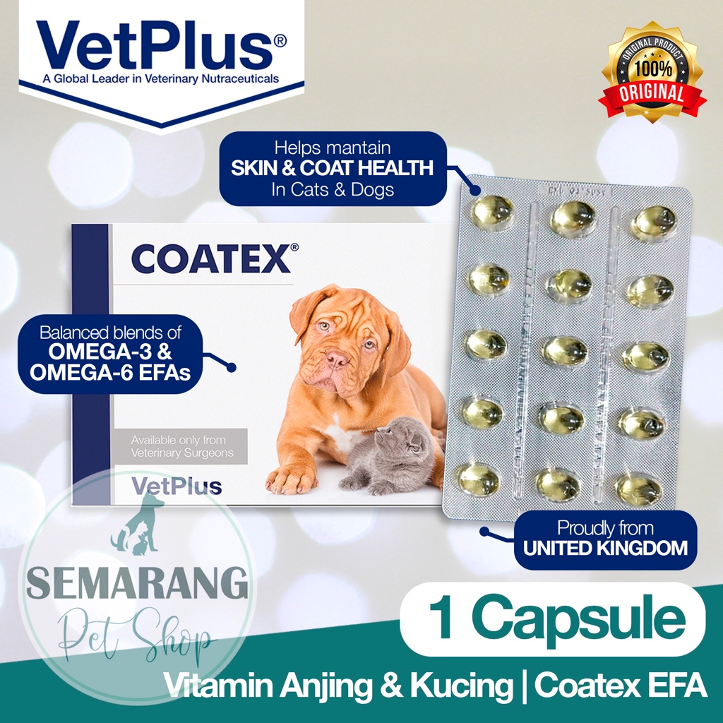 Jual Pet Vitamin Coatex Efa Capsule By Vetplus Bulu And Kulit Anjing