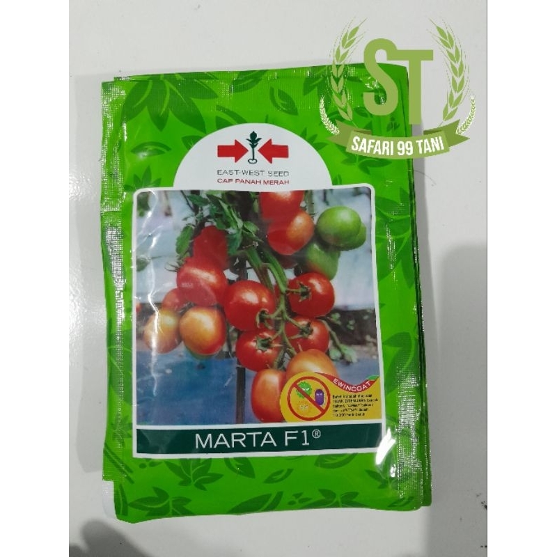 Jual Benih Tomat Marta F Btr Benih Tomat Unggul Shopee Indonesia