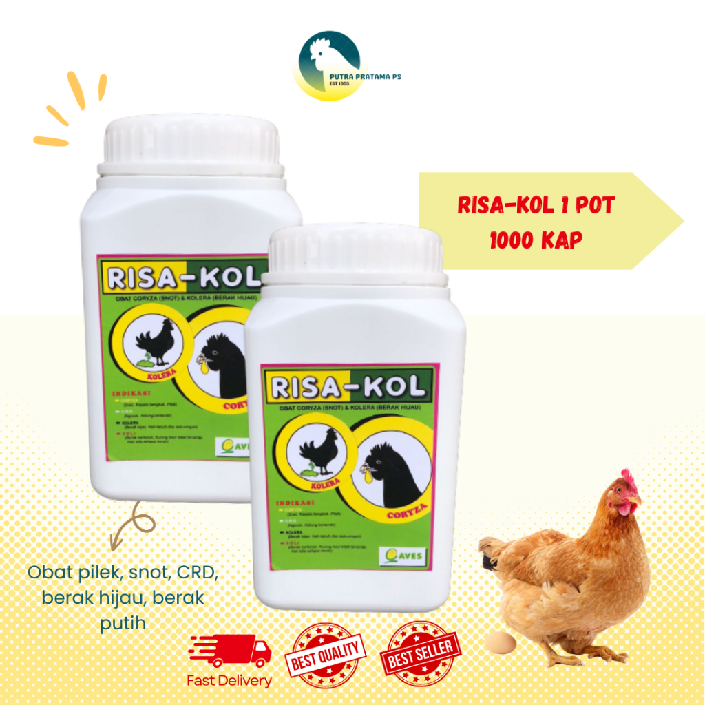 Jual Risakol Risa Kol 1000 Kapsul Obat Untuk Pilek Snot Crd Berak Hijau