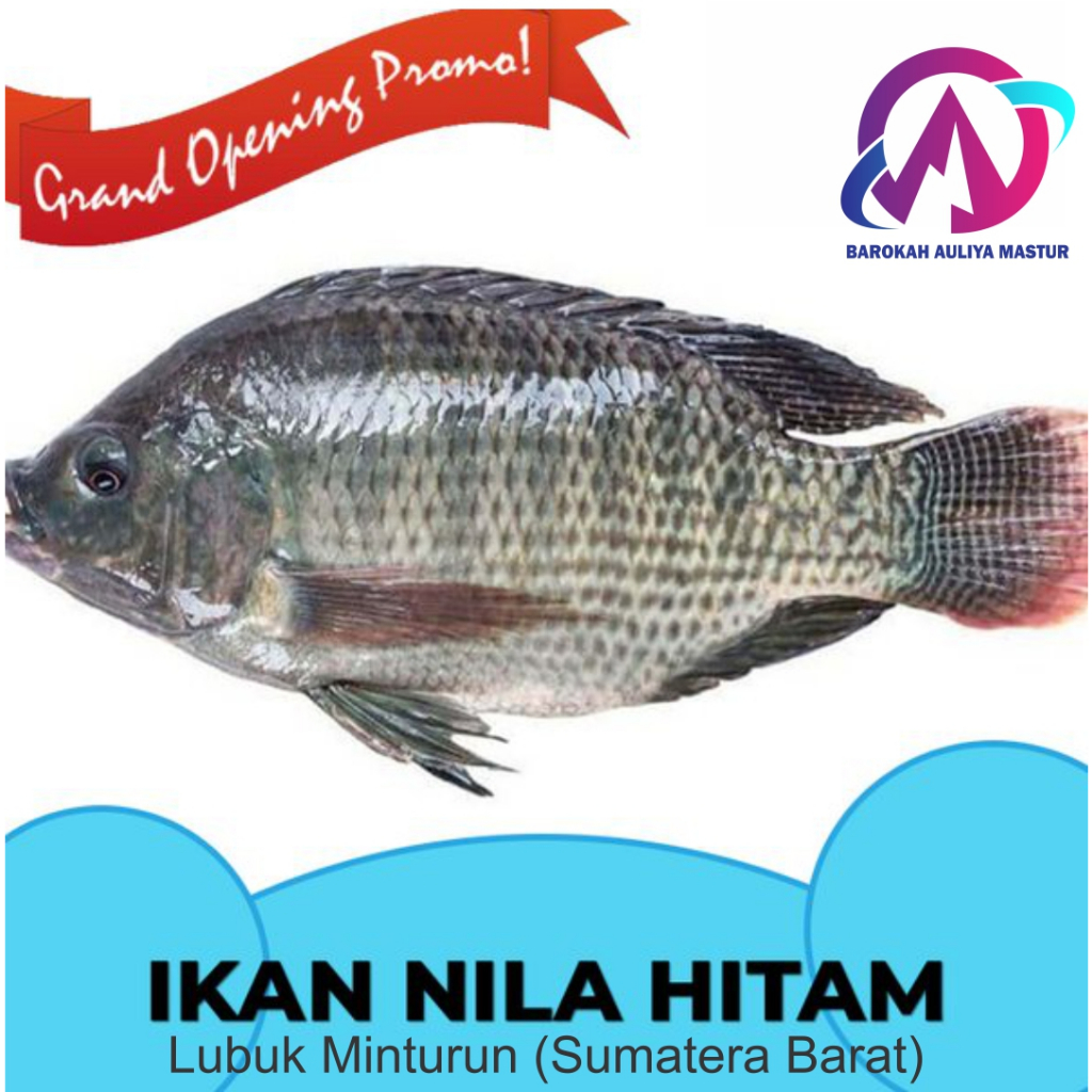 Ikan Online: Tren Baru yang Mengubah Cara Kita Mengonsumsi Ikan Segar
