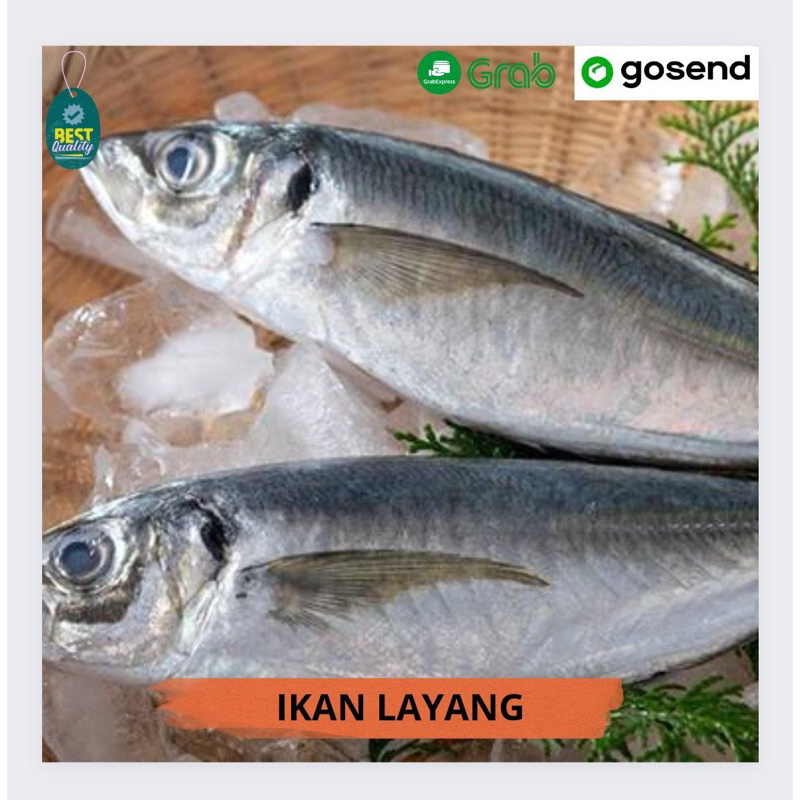 Jual Ikan Layang Segar 1kg Shopee Indonesia