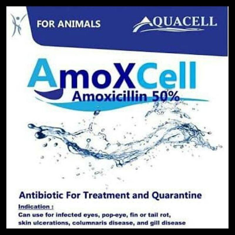 Jual Amoxcell 10gr Obat Berbagai Penyakit Ikan Koi dan Ikan lainnya
