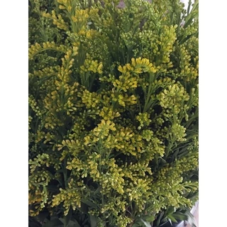 Yosh va qari jinsiy aloqani tomosha qiling Kashtanka mega jinsiy aloqa