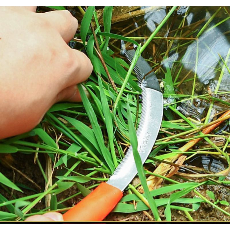 Jual Alat Pemotong Rumput Pisau Pemotong Lalang Tanaman Gigi Gergaji ...