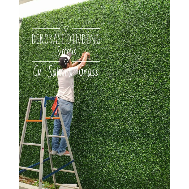 Jual GROSIR DAUN RAMBAT PAKIS RAPAT DAN PADAT UKURAN 40X60 CM UNTUK ...