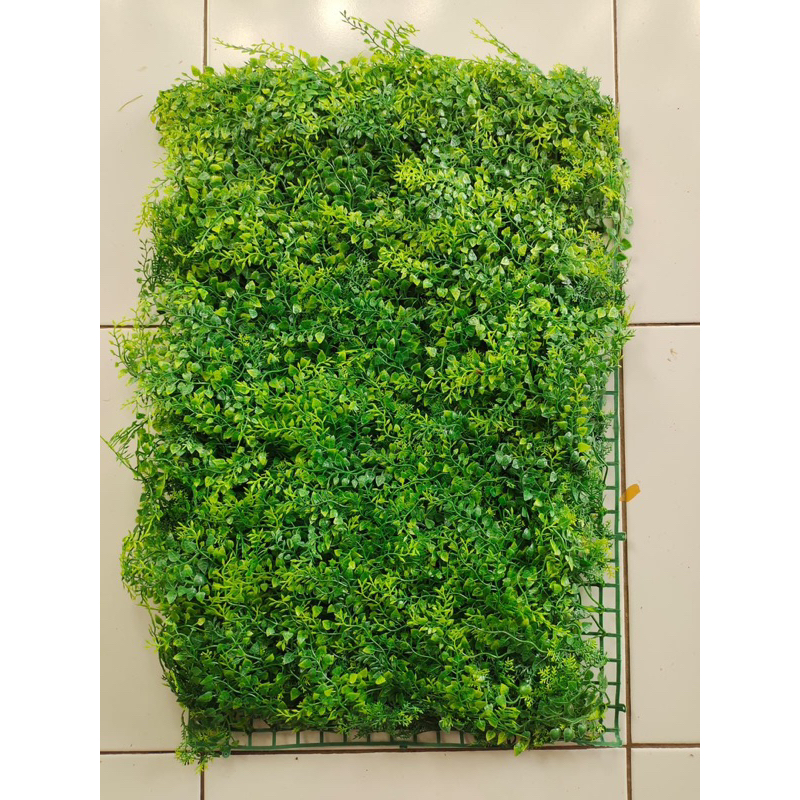 Jual GROSIR DAUN PAKIS UKURAN 40X60 CM - DAUN DINDING RAMBAT VERTICAL ...