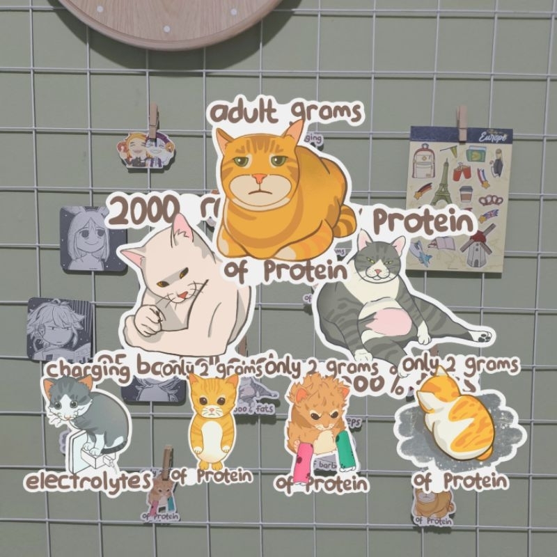 Jual Deco Sticker Kucing Meme Lucu | Vinyl Glitter 6 cm | Shopee Indonesia