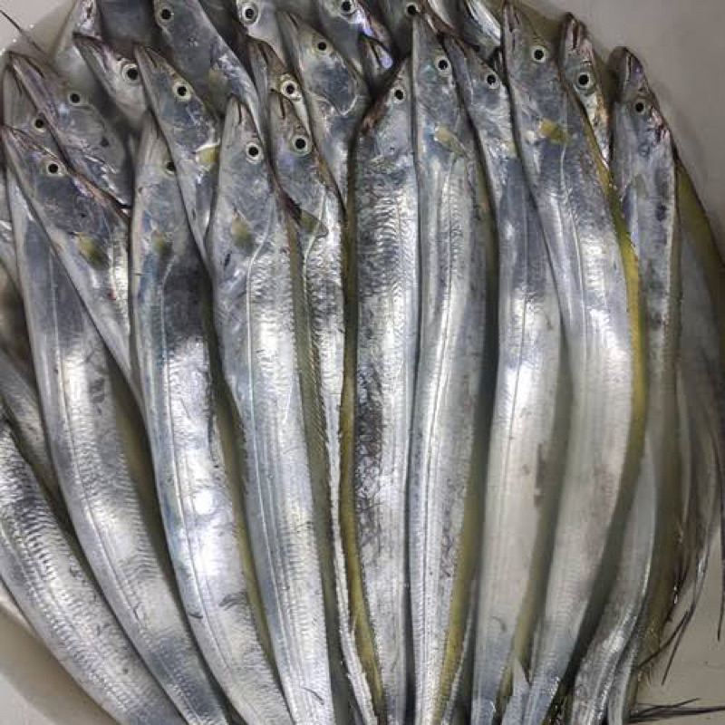 Jual IKAN LAYUR FRESH 1kg | Shopee Indonesia
