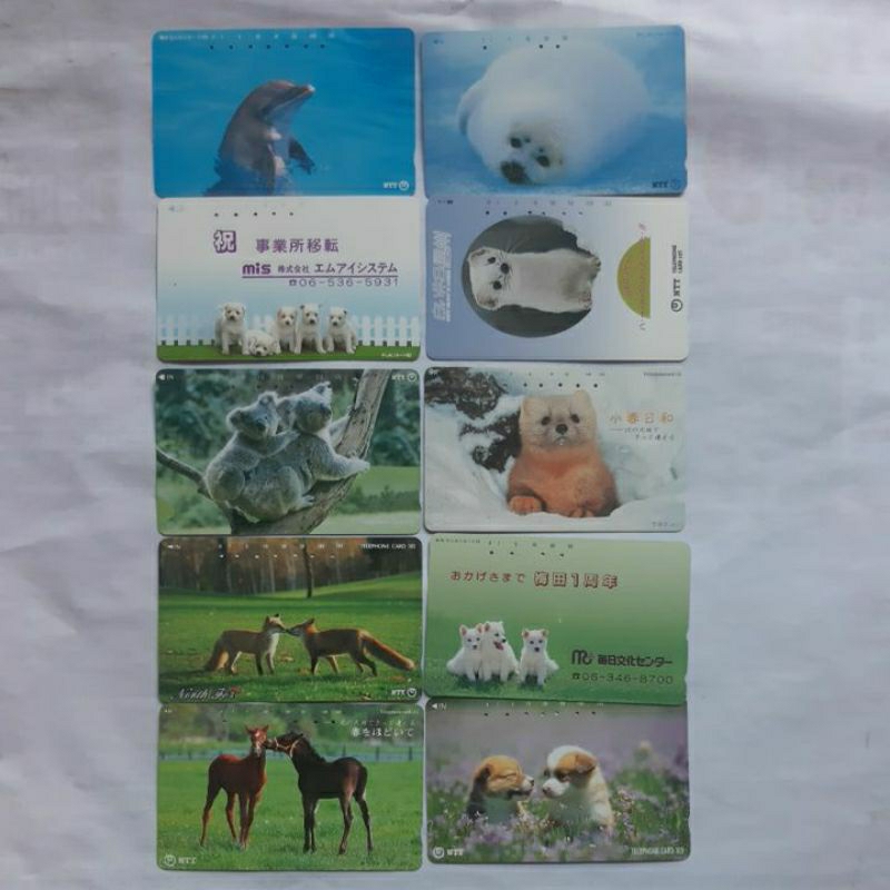 Jual Koleksi kartu telepon magnetic seri hewan set 10 kartel | Shopee