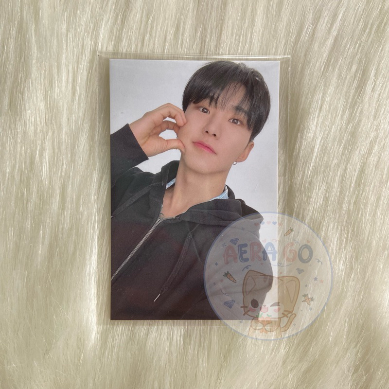 Jual PC Hoshi Merch Anniv Connect | Shopee Indonesia