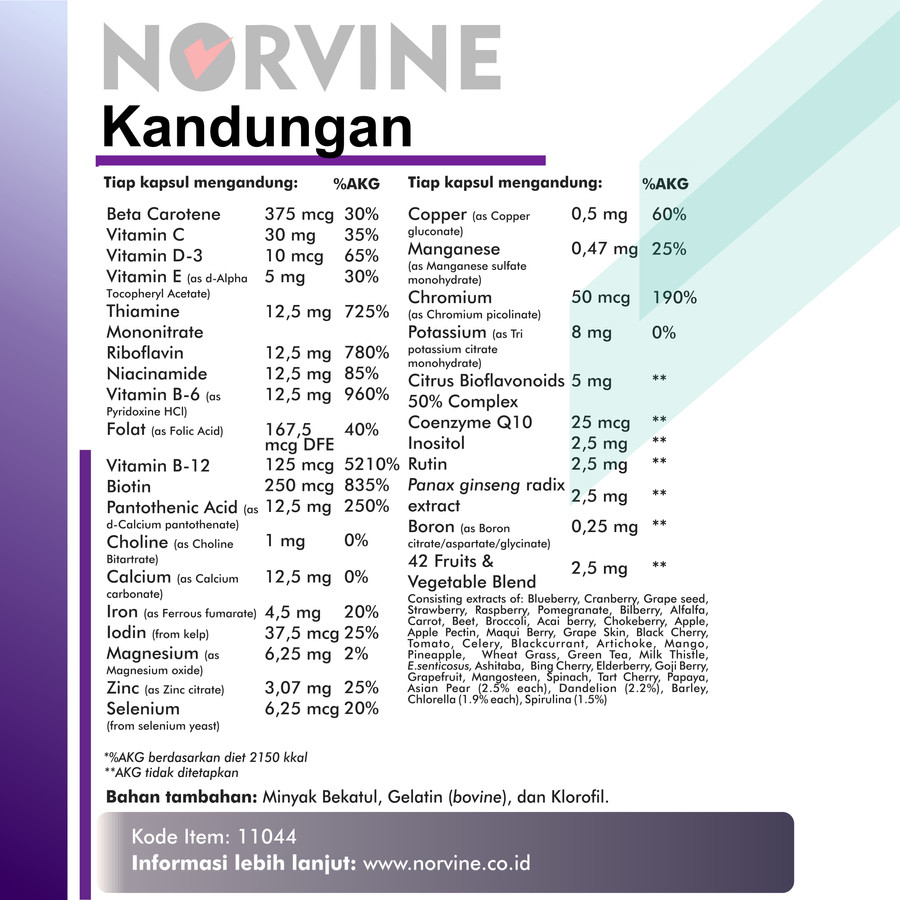 Jual Norvine Premium Multivitamin & Mineral Complex (Made in USA ...