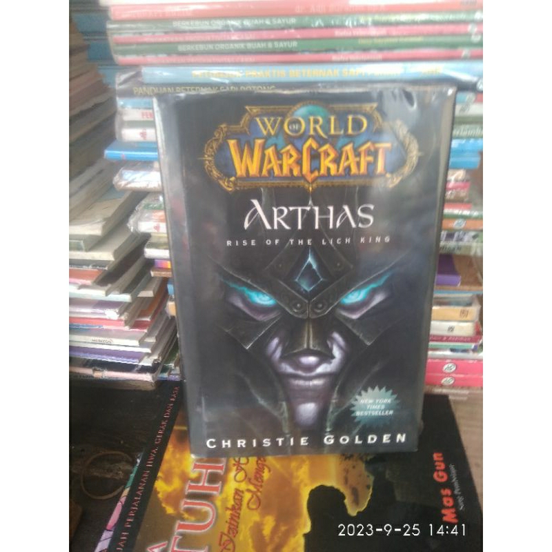 Jual ORIGINAL ARTHAS Rise of the Lich King World of Warcraft Christie