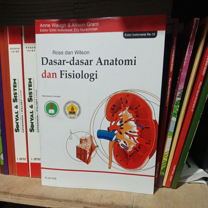 Jual BUKU DASAR-DASAR ANATOMI DAN FISIOLOGI | Shopee Indonesia