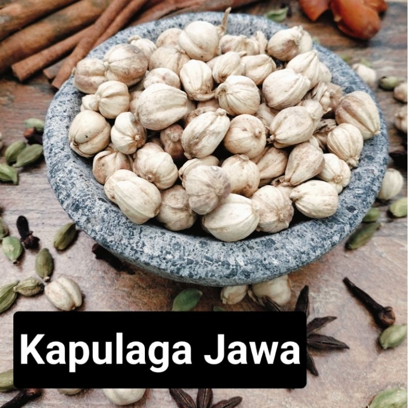 Jual Kapulagakapulaga Jawakapulogo Jawa Shopee Indonesia 2287