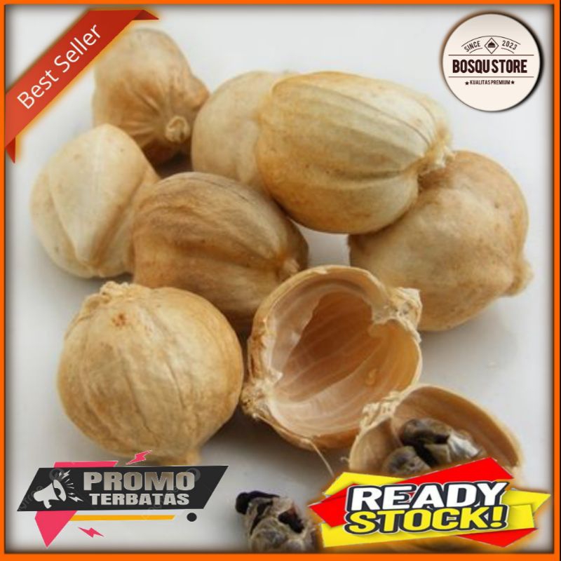 Jual Kapulaga Bulat Biji Kapol 50g Kering Bersih Kualitas Premium Bumbu Dapur And Rempah 3961