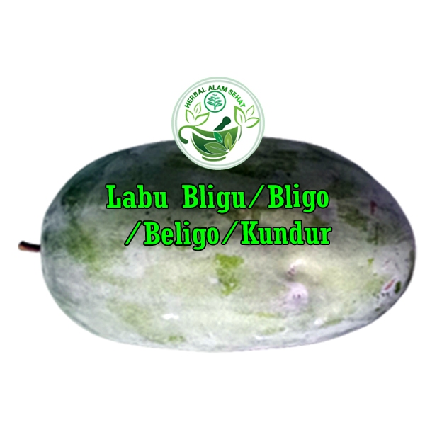 Jual Buah Labu Bligu Atau Buah Bligo Atau Buah Beligo Atau Buah Kundur Shopee Indonesia 