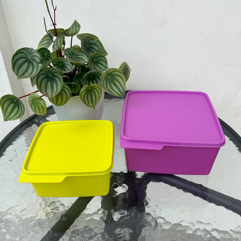 Jual Cozy Nest Tupperware Kotak Penyimpanan Tupperware Shopee Indonesia