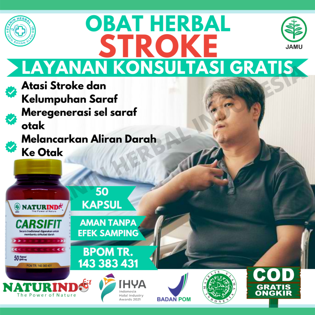 Jual Obat Stroke Ampuh Obat Struk Stroke Ringan Obat Herbal Stroke