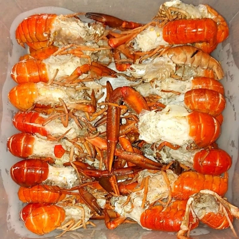 Lobster Air Tawar Frozen untuk Berbagai Menu