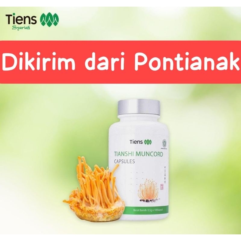 Jual Cordyceps Tianshi Pontianak | Tiens Cordyceps | Tianshi Cordyceps ...