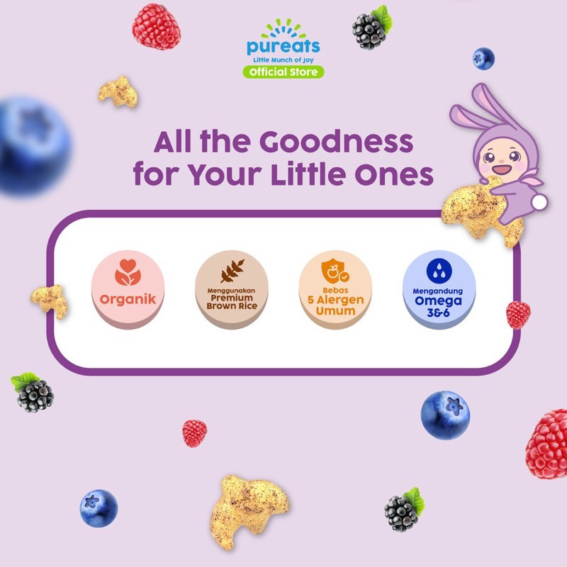 Jual Pureats Smoothie Melts 18gr - Snack bayi Anak | Shopee Indonesia