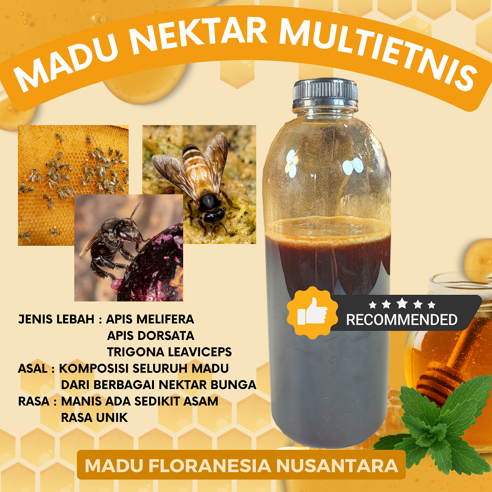 Jual Madu Murni Madu Asli Nektar Akasia 1 Kg Kualitas Premium Full Nektar 100 Raw Honey Madu 1252